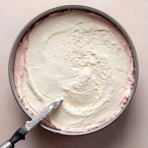 Best Ice Cream Cake Recipe 16 A springform pan is filled with the ice cream mixture, being smoothed out before freezing. The layers are set, showing a creamy texture.