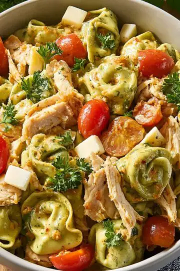 Best Chicken Tortellini Salad Recipe 1 Chicken Tortellini Salad salad with spinach tortellini, cherry tomatoes, cubed cheese, and shredded chicken garnished with fresh parsley