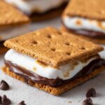 frozen s'mores Layers of graham cracker, chocolate, and toasted marshmallow, with chocolate chips scattered nearby.